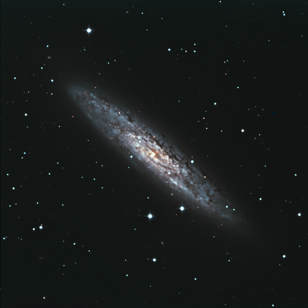 Sculptor Galaxy Telescope Live